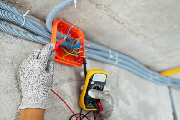 Best Licensed Electrician  in Albany, CA